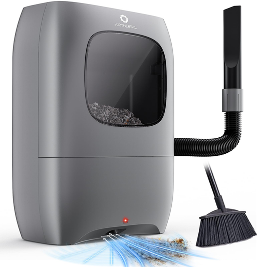 Dustpan Standard product photo